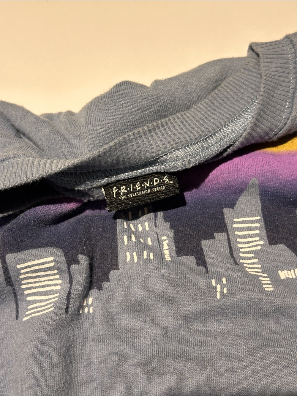 FRIENDS Slate Blue Crewneck with Multicolor Skyline Graphic - Picture 5 of 7